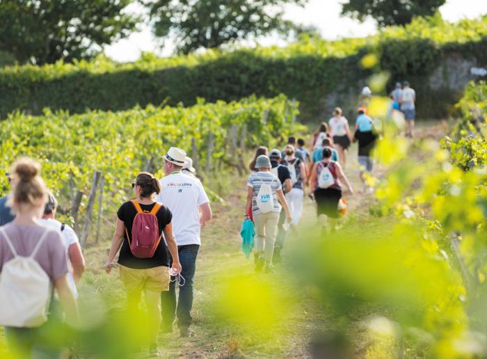 Anjou Loire Valley (France) tours and vacation