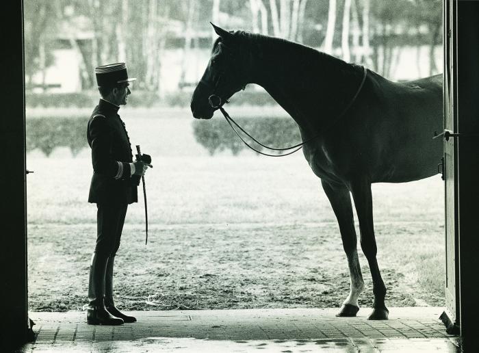 The Cadre noir in Saumur